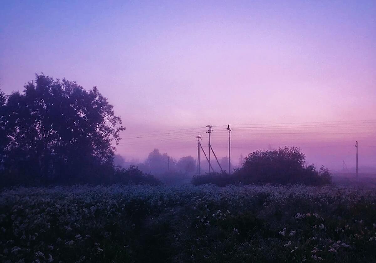 万博体育官网：在数字舞台上点亮你的体育热情